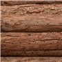 CKB LTD Maison en Bois pour hérisson ou Cochon d'Inde - Abri extérieur - Hôtel Peut également être utilisé pour la Maison d'hibe