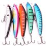 Qtuie Leurres de Pêche Lot de 5 Leurre Peche Bioniques à Couler Lent au Brochet, en Mer pour Bar, Perche, Truite Leurre de Peche