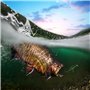Qtuie Leurres de Pêche Lot de 5 Leurre Peche Bioniques à Couler Lent au Brochet, en Mer pour Bar, Perche, Truite Leurre de Peche