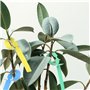 Pinsheng Étiquettes de Plantes de Jardin 300 Pièces, Etiquette Arbre Fruitier Étiquette Semis Plastique Couleur Étiquette Jardin