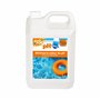 BSI - pH Moins - Liquide - Pour Diminuer Et Stabiliser Le Potentiel Hydrogène De l'Eau - Idéal En Piscine Et Spa - Retrouvez Une