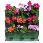 Géranium "zonale F2 Colorama Mixed", Graines prêt à Pousser Minigarden, 100% Naturelles sans Propagateurs Chimiques ni Génie Gén
