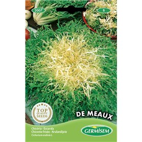 Germisem graines Chicorée frisée de Meaux EC2007 Multicolore