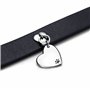 Pandora Collier pour animaux 312262C01-S acier inoxydable