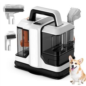 Nettoyeur de taches portable