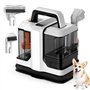 Nettoyeur de taches portable