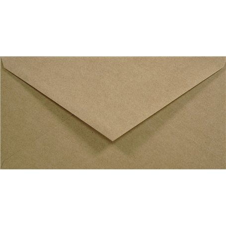 Netuno 25 enveloppes longues marron en papier kraft DL 110x220 mm rabat pointu enveloppe écologique vintage pour lettres d'affai