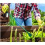 KADAX Coupe-asperges en acier, petit désherbeur avec poignée ergonomique en plastique, outil de jardin avec manche, désherbeur, 