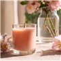 Glasmark KROSNO 1992 Lot De 6 Pots en Verre Transparent Pour Fabrication de Bougies Bricolage 275 ml