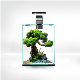 Aquael Set Crevettes Smart D&N 10 Noir ECOM