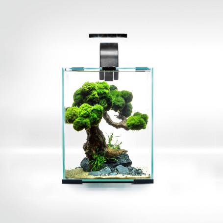 Aquael Set Crevettes Smart D&N 10 Noir ECOM