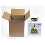 Aquael Set Crevettes Smart D&N 10 Noir ECOM