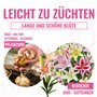 FLORIUM 50 х Mega collection de lys (50 bulbes), bulbes vivaces exclusifs, mélange résistant à l'hiver de Hollande pour le jardi