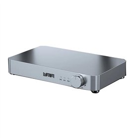 Pesfehhy Amplificateur de Puissance Numérique Stéréo Hi-FI Amplificateur Numérique Hi-FI Classe D Amplificateur Audio vers Bluet