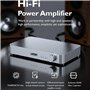 Pesfehhy Amplificateur de Puissance Numérique Stéréo Hi-FI Amplificateur Numérique Hi-FI Classe D Amplificateur Audio vers Bluet