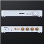 Pesfehhy Amplificateur de Puissance Numérique Stéréo Hi-FI Amplificateur Numérique Hi-FI Classe D Amplificateur Audio vers Bluet