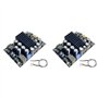 Goufride 2X TPA3255 Carte Amplificateur Numérique HiFi Niveau de Fièvre 300W + 300W Haute Puissance 2.0 Canaux Stéréo Classe D C