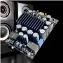 Goufride 2X TPA3255 Carte Amplificateur Numérique HiFi Niveau de Fièvre 300W + 300W Haute Puissance 2.0 Canaux Stéréo Classe D C