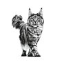 Royal Canin Expert Neutered Balance | Pack Double | 2 x 12 x 85 g | Aliment Complet pour Chats | Nourriture Humide pour Chats Ad