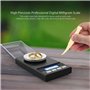 Reinscer Balance de précision au milligramme 50G/0,001G - Balance de précision au milligramme - Balance de laboratoire avec écra