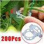 Reykentu Clips en plastique pour support de plantes, outil de fixation de greffe de protection de vigne de plantes réutilisable 