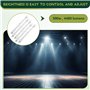 Asyduey Lot de 5 R7S 118 Mm 300 W 230 V, Ampoule LinéAire HalogèNe R7S, Lampe HalogèNe à Intensité Variable pour L'éClairage de 