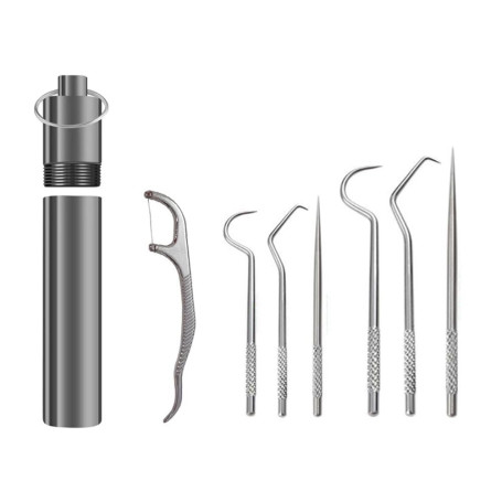 Fozriybefy Kit de Cure-Dents en Métal pour la Soie Dentaire
