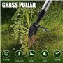 Désherbeur Manuel et Extracteur de Mauvaises Herbes avec Pédale, Longueur 147cm Outil de Désherbage en Acier Inoxydable, Griffes