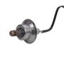 4 L 2006-2008 Rondo 2