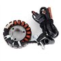 NINOMA Bobine de stator de générateur Compatible avec Derbi GP1 250 Rambla 125 250i Gilera Nexus 250 300 Compatible avec Malagut
