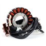 NINOMA Bobine de stator de générateur Compatible avec Derbi GP1 250 Rambla 125 250i Gilera Nexus 250 300 Compatible avec Malagut