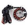 NINOMA Bobine de stator de générateur Compatible avec Derbi GP1 250 Rambla 125 250i Gilera Nexus 250 300 Compatible avec Malagut