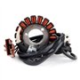 NINOMA Bobine de stator de générateur Compatible avec Derbi GP1 250 Rambla 125 250i Gilera Nexus 250 300 Compatible avec Malagut
