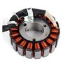 NINOMA Bobine de stator de générateur Compatible avec Derbi GP1 250 Rambla 125 250i Gilera Nexus 250 300 Compatible avec Malagut