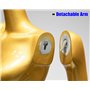 ENHEN Mannequin Buste de Mannequin Femme Doré Brillant, Présentoir de Comptoir à Plusieurs Niveaux pour la Vente de Vêtements, M