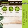 Reptiles Planet - T5 Compact Luminaire 6.0 - Rampe d’Eclairage avec 2 Tubes T5 - 24 W / 58 cm