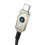 Câble USB A vers USB-C Baseus P10355801221-00 Noir 1 m