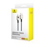 Câble USB A vers USB-C Baseus P10355801221-00 Noir 1 m