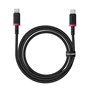 Câble USB-C vers USB-C Baseus P10377803U01-01 Noir Rouge 1 m