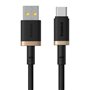 Câble USB A vers USB-C Baseus P10377802U01-02 Noir Or 2 m