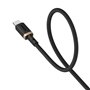 Câble USB A vers USB-C Baseus P10377802U01-02 Noir Or 2 m