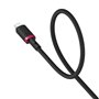 Câble USB-C vers Lightning Baseus P10377800U01-03 Noir Rouge 2 m
