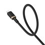 Câble USB-C vers Lightning Baseus P10377800U01-02 Noir Or 2 m