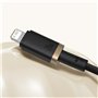 Câble USB-C vers Lightning Baseus P10377800U01-00 Noir Or 1 m