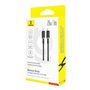 Câble USB-C vers Lightning Baseus P10377800U01-00 Noir Or 1 m