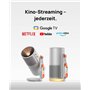 Google TV avec Netflix sous Licence