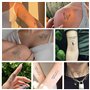 BETESSIN 100Pcs Tatouages Ephémères Tatouages Temporaires Femmes Fille pour Visage Corps Main