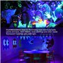 2pcs LUNSY Lumière Noire LED 30W, Imperméable IP66 Projecteur Lumière UV Extérieur, Lampe LED Violet, Eclairage à Effet pour Fêt