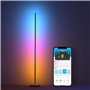 Lampadaire Govee LED Floor Lamp Noir Multicouleur 24 V (1 Pièce)