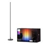 Lampadaire Govee LED Floor Lamp Noir Multicouleur 24 V (1 Pièce)